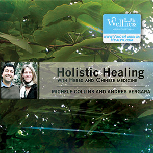 holistic healing herbs chinese herbs show